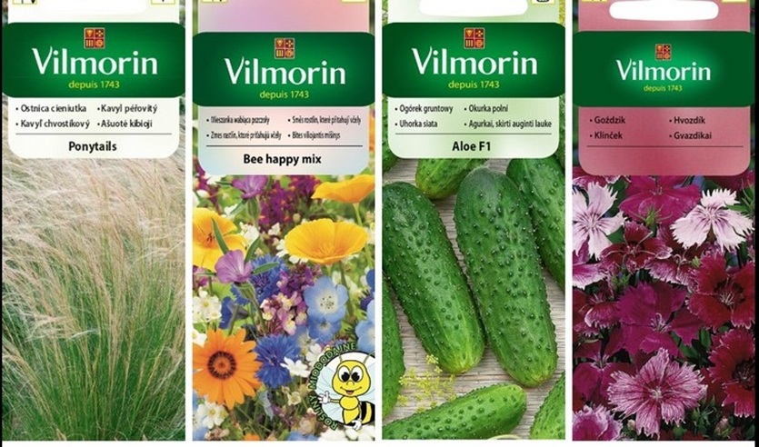 Nasiona , Vilmorin Garden Sp. z o.o., Plewiska